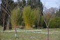 20 02 12_6183